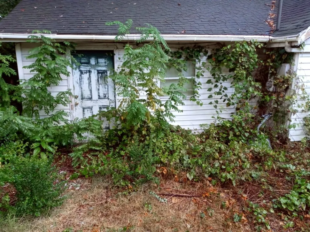 Professional residential landscaping for homes across Maryville, TN - Charlie's Lawn Care