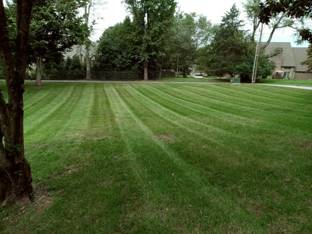 Local lawn mowing service with custom design across Maryville, TN - Charlie's Lawn Care