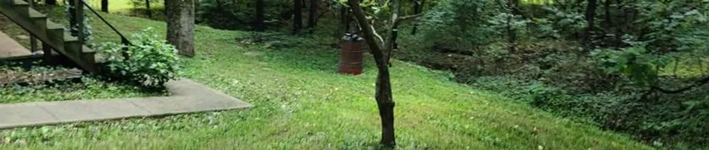 Reliable yard cleanup service with custom design in Poplar Bluff, MO by Charlie's Lawn Care