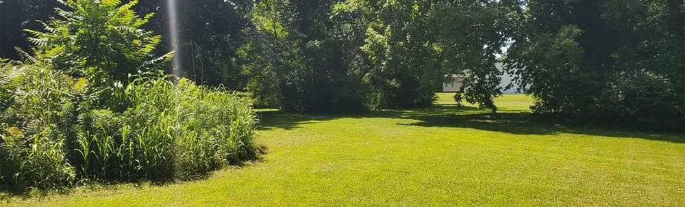 Custom yard cleanup service in Poplar Bluff, MO by Charlie's Lawn Care