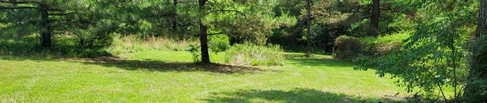 Custom yard maintenance near you in Poplar Bluff, MO by Charlie's Lawn Care