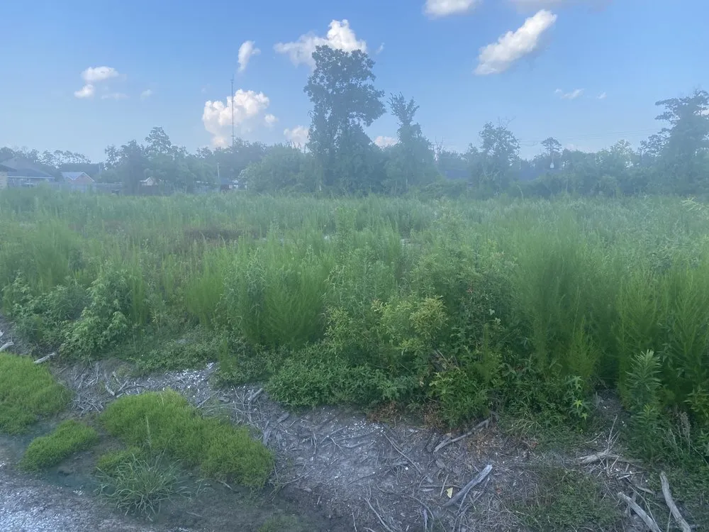 Local landscape installation experts serving Westlake, LA - Charlie’s Lawn Service