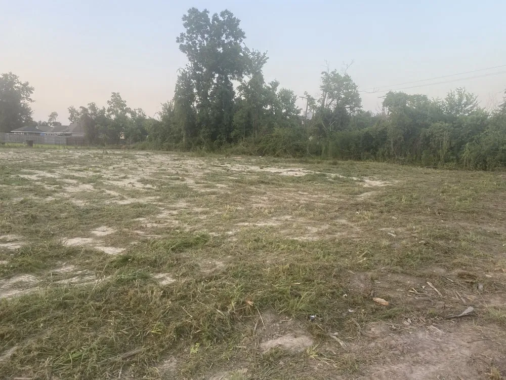 Expert yard maintenance experts serving Westlake, LA - Charlie’s Lawn Service