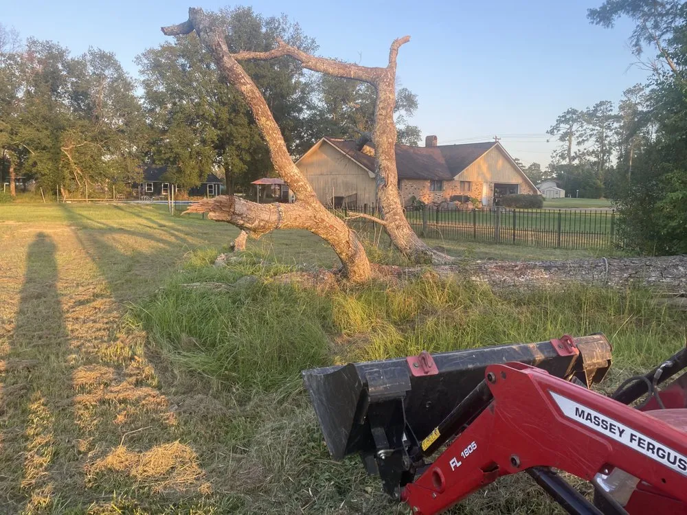 Affordable residential landscaping for year-round maintenance in Westlake, LA by Charlie’s Lawn Service