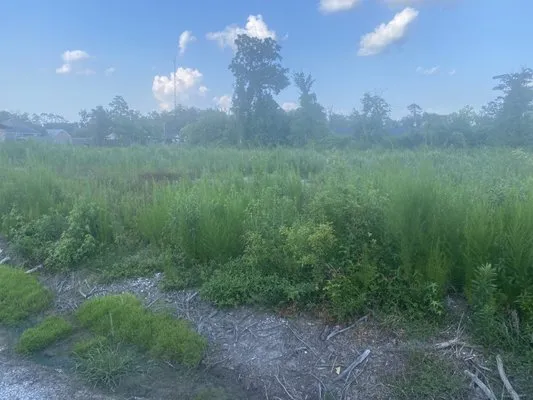 Charlie’s Lawn Service