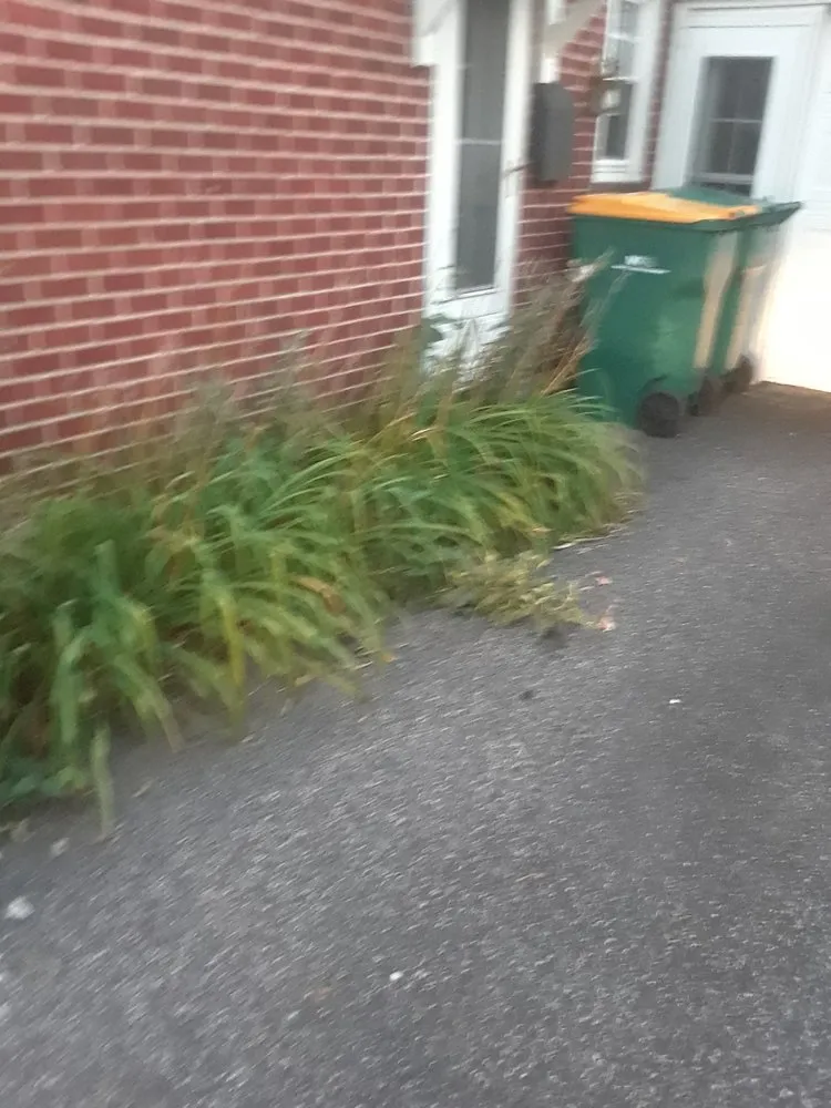 Expert yard cleanup service in Lansdale, PA by Charlie's Lawncare