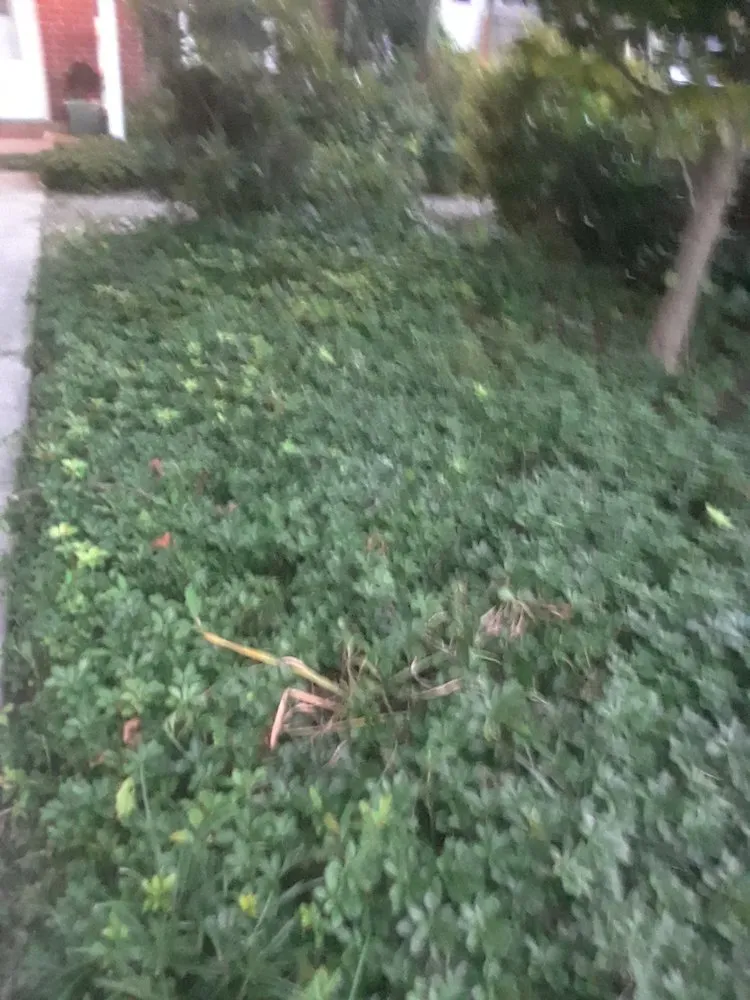 Top-rated lawn care service with custom design across Lansdale, PA - Charlie's Lawncare