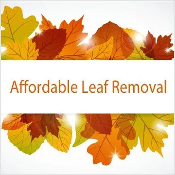 Affordable residential landscaping experts serving Lansdale, PA - Charlie's Lawncare