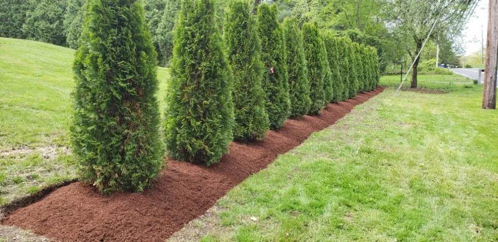 Top-rated outdoor landscaping in Waterbury, CT by Charlie's Lawncare