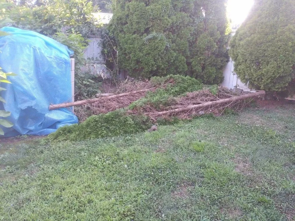 Professional garden landscaping in Waterbury, CT - Charlie's Lawncare