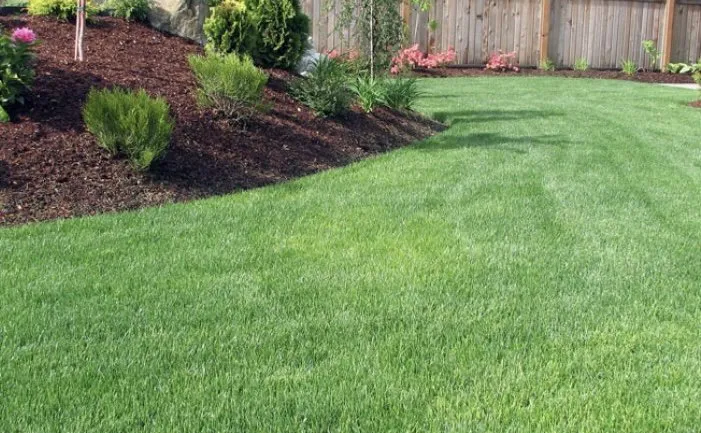 Top-rated lawn care service in Claremont, NH by Charlies Pro Services
