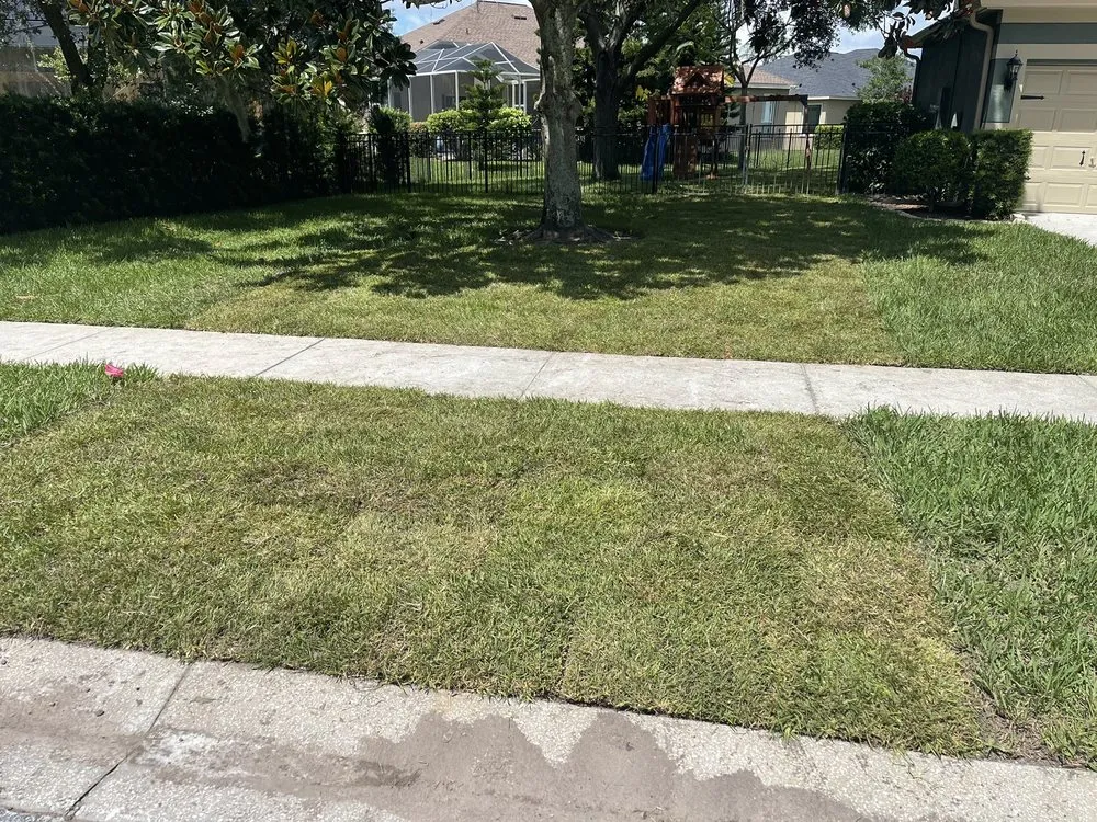 Professional landscaping services in Tampa, FL - Charlie's Re-Sod