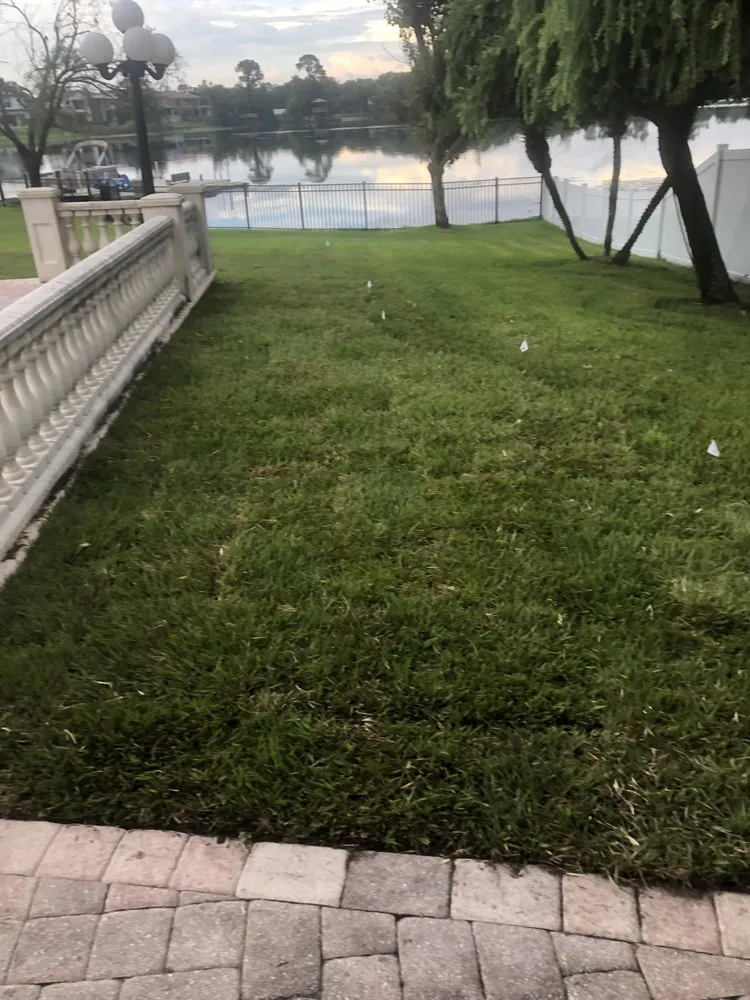 Local garden landscaping experts serving Tampa, FL - Charlie's Re-Sod