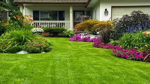 Local lawn mowing service with custom design in Tampa, FL by Charlie's Re-Sod