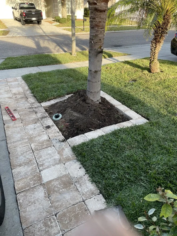 Affordable yard maintenance in Tampa, FL by Charlie's Re-Sod