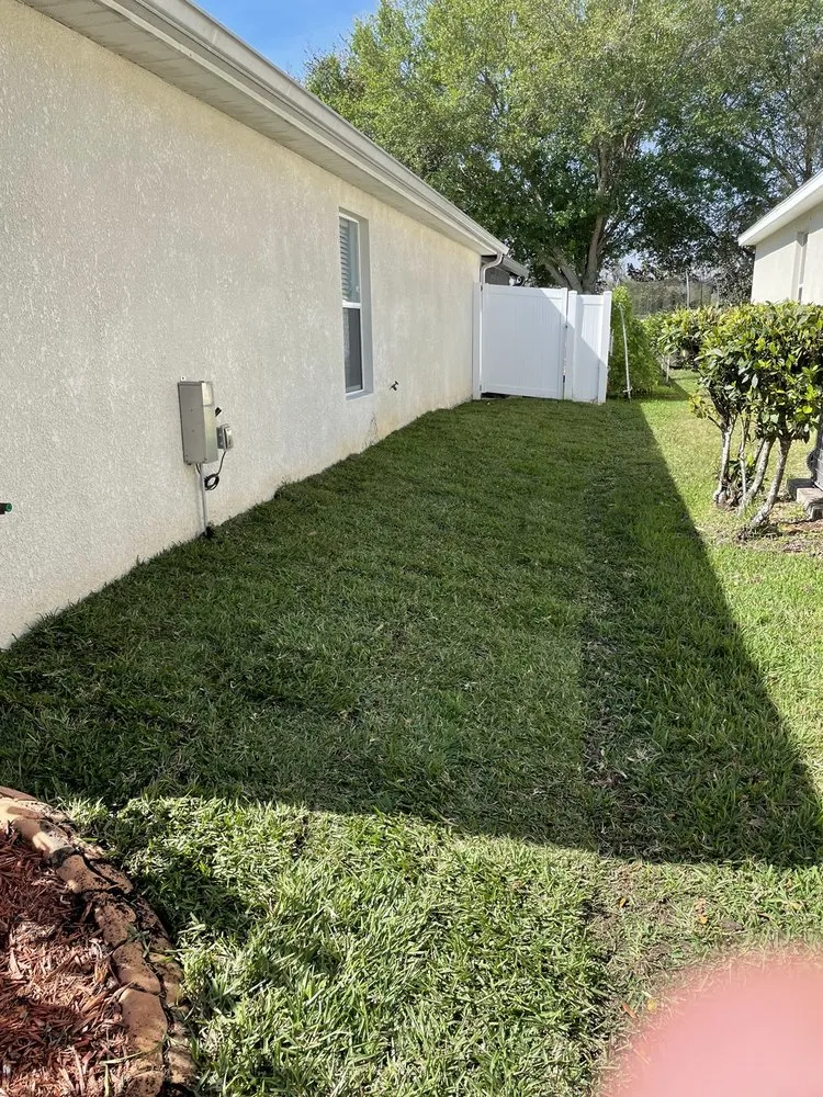 Expert yard cleanup service near you across Tampa, FL - Charlie's Re-Sod