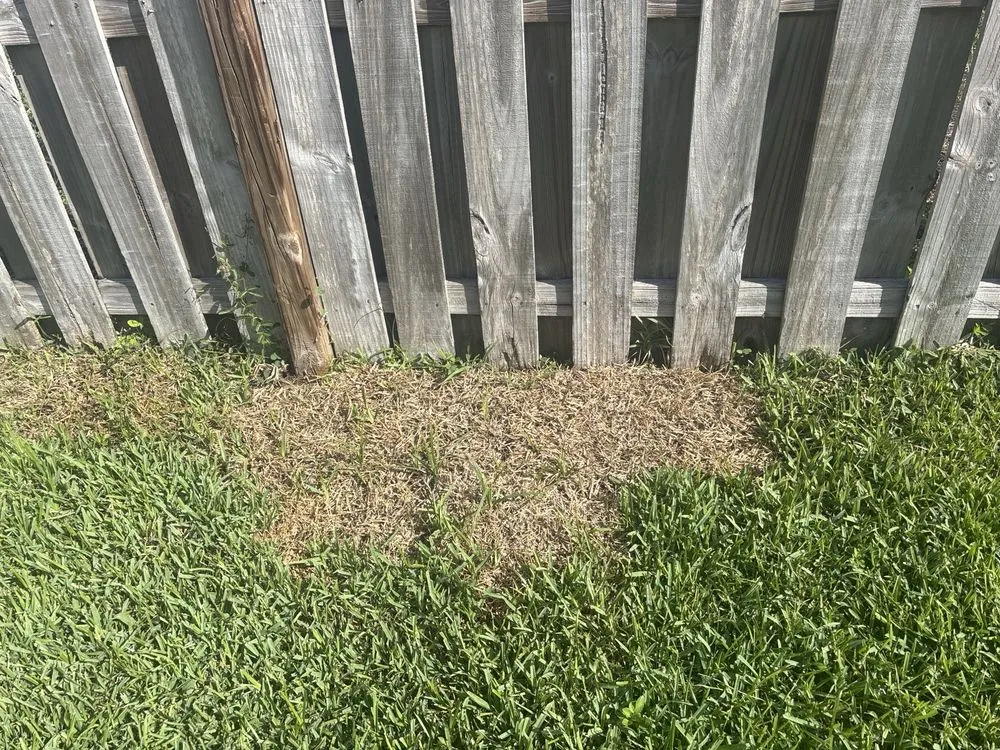 Local lawn mowing service in Tampa, FL by Charlie's Re-Sod