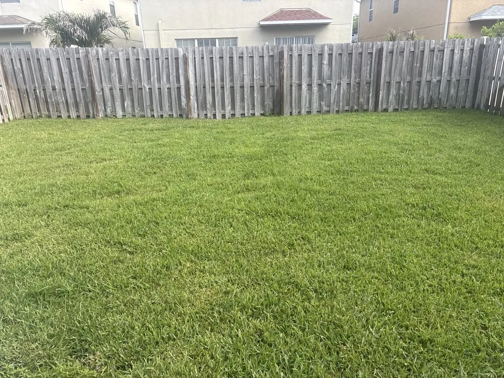 Custom lawn care service in Tampa, FL by Charlie's Re-Sod