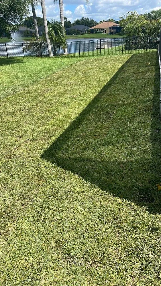 Custom garden landscaping in Tampa, FL by Charlie's Re-Sod