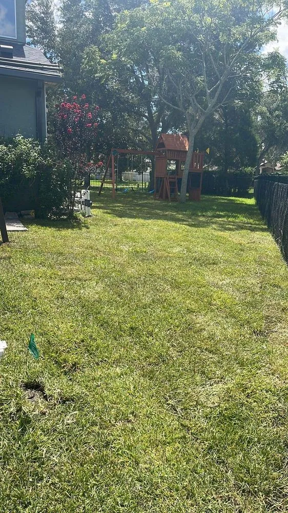 Custom residential landscaping in Tampa, FL - Charlie's Re-Sod