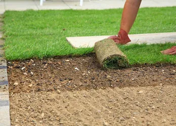 Expert yard cleanup service in Okeechobee, FL - Charlie's Tree & Lawn