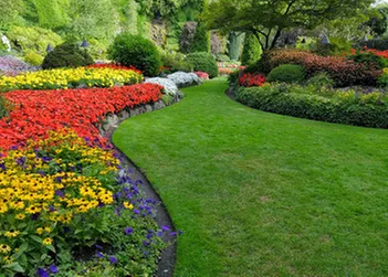 Custom outdoor landscaping experts serving Okeechobee, FL - Charlie's Tree & Lawn