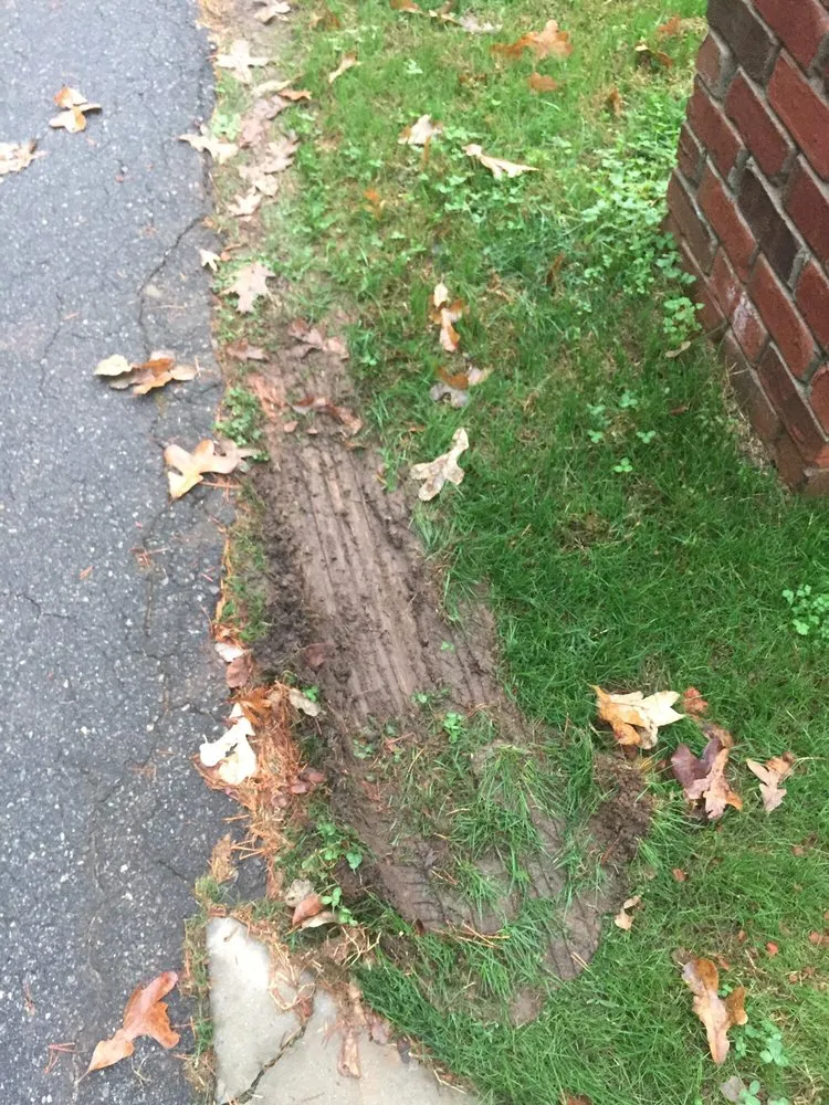 Expert yard cleanup service in Charlotte, NC by Charlotte Landscape & Patio