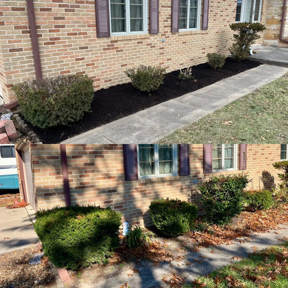 Top-rated lawn care service near you across Temperance, MI - Charlton Greenhouses