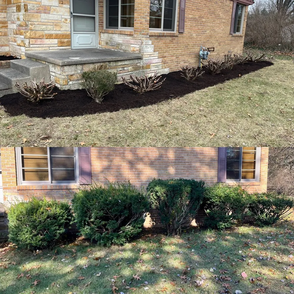 Top-rated lawn care service experts serving Temperance, MI - Charlton Greenhouses