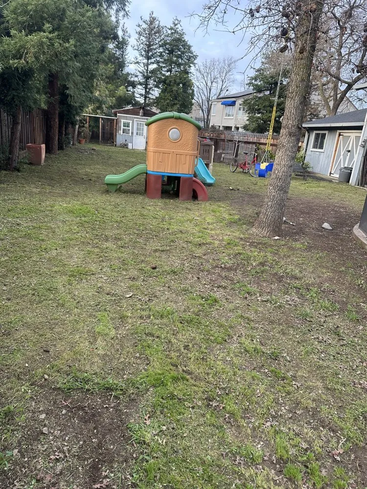 Professional garden landscaping for homes across San Jose, CA - Charly Junk Removal and Landscaping