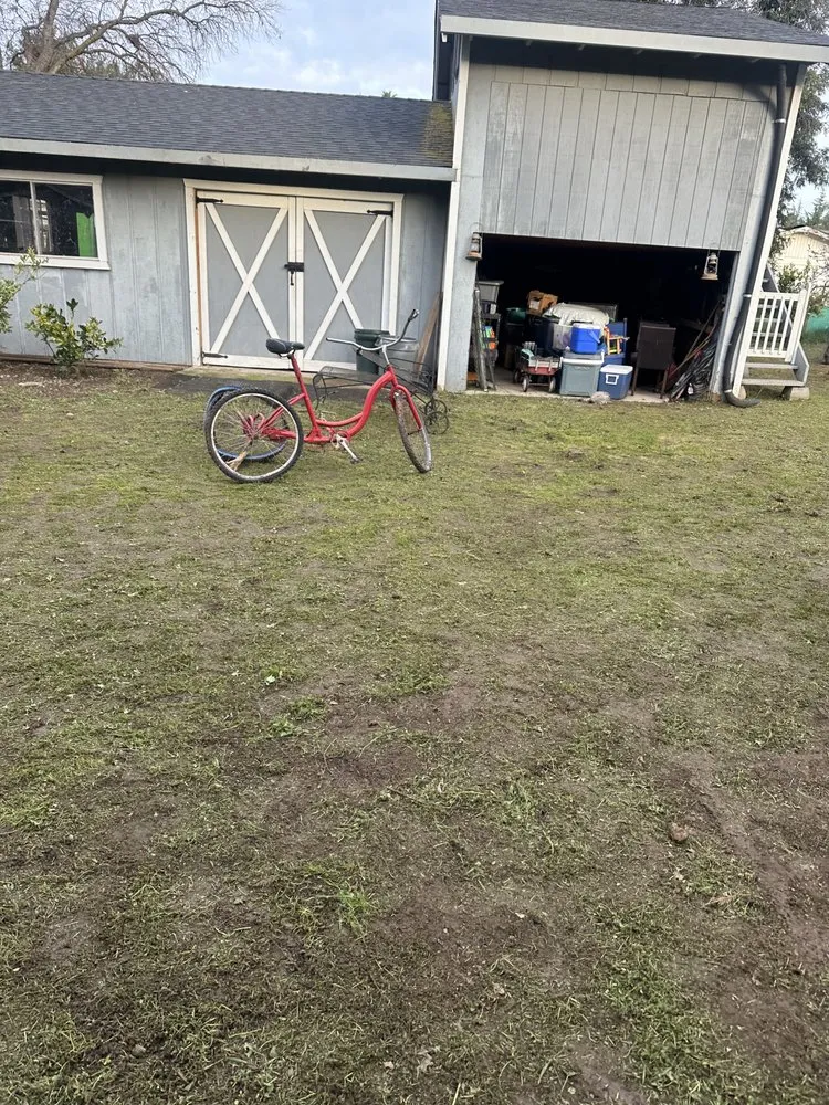 Affordable yard cleanup service experts serving San Jose, CA - Charly Junk Removal and Landscaping