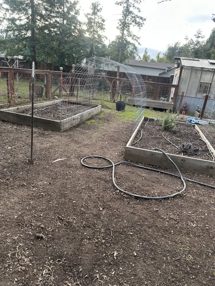 Professional landscaping services in San Jose, CA by Charly Junk Removal and Landscaping