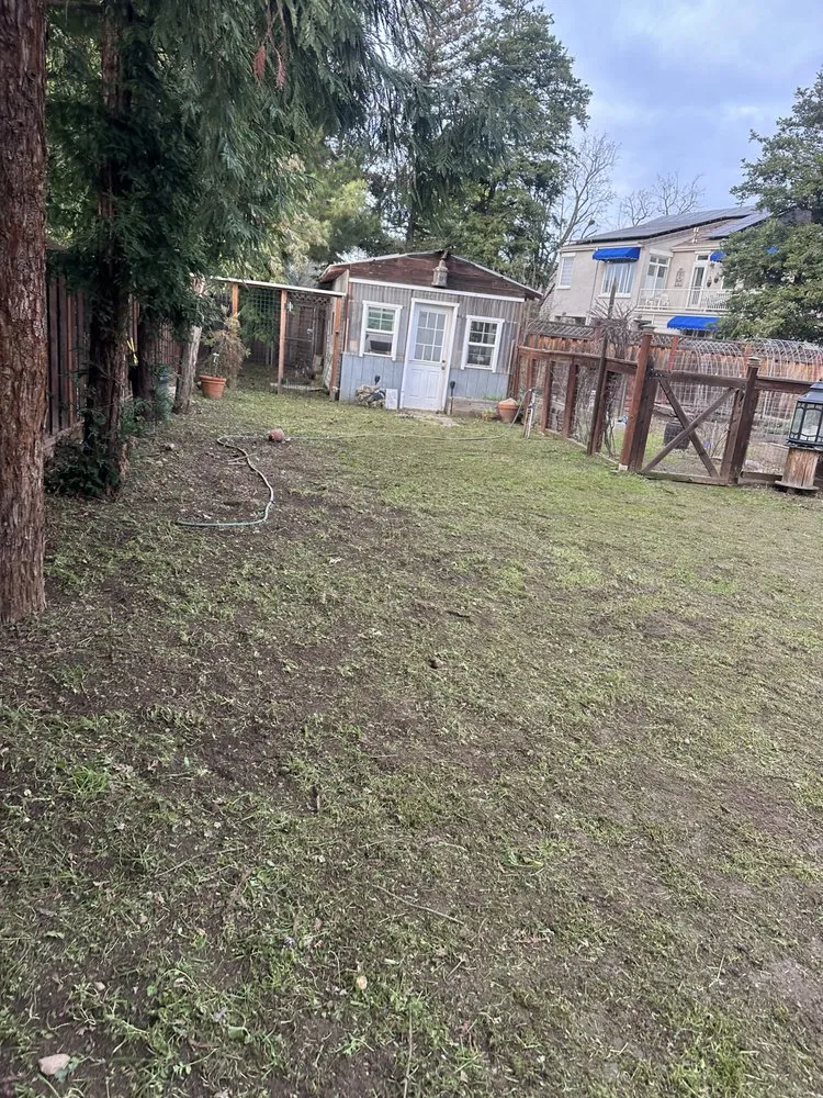 Professional garden landscaping experts serving San Jose, CA - Charly Junk Removal and Landscaping