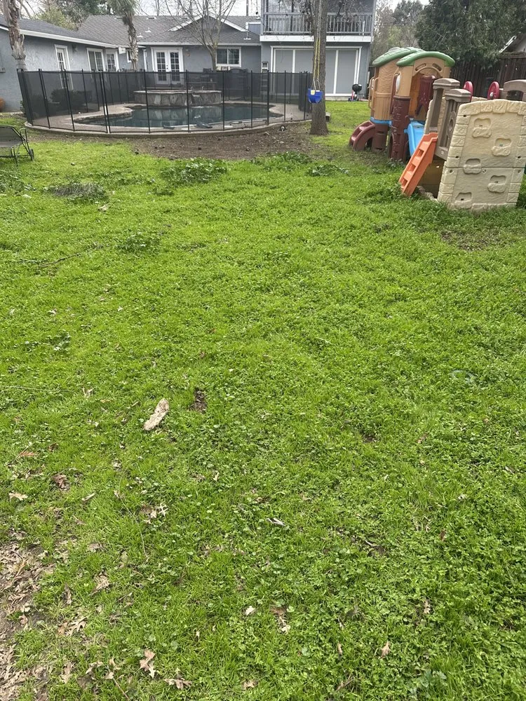 Top-rated outdoor landscaping experts serving San Jose, CA - Charly Junk Removal and Landscaping