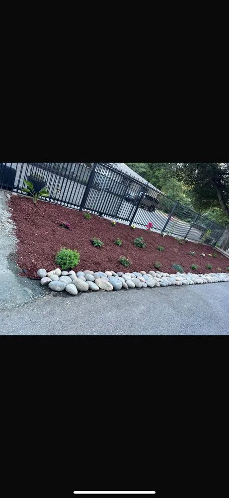 Top-rated yard maintenance for homes across San Jose, CA - Charly Junk Removal and Landscaping