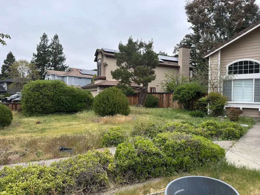Local landscape installation in San Jose, CA - Charly Junk Removal and Landscaping