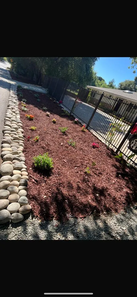 Professional landscape design with custom design across San Jose, CA - Charly Junk Removal and Landscaping