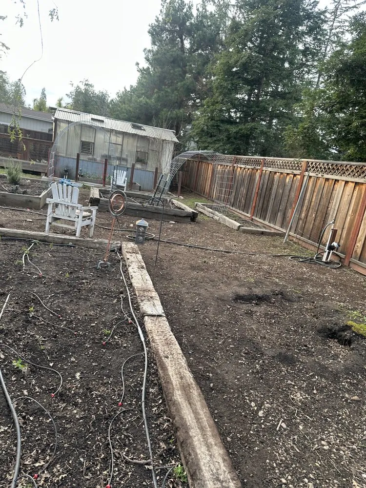 Affordable outdoor landscaping experts serving San Jose, CA - Charly Junk Removal and Landscaping