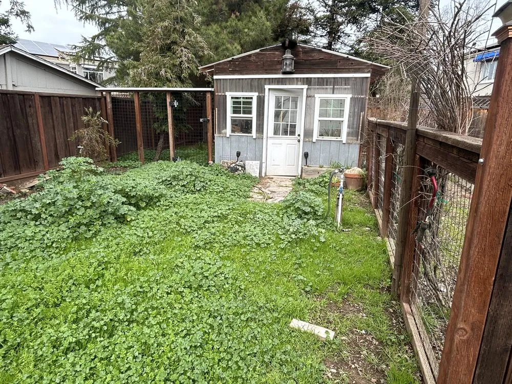 Expert outdoor landscaping in San Jose, CA by Charly Junk Removal and Landscaping