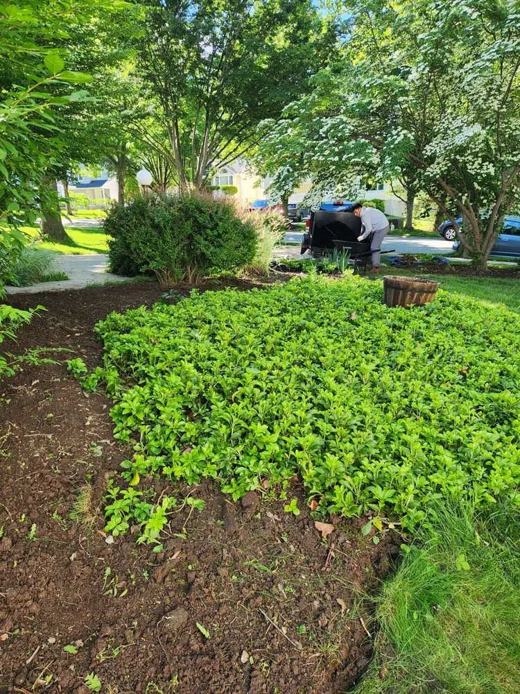 Expert lawn mowing service for beautiful yards in Annapolis, MD by Charly landscape