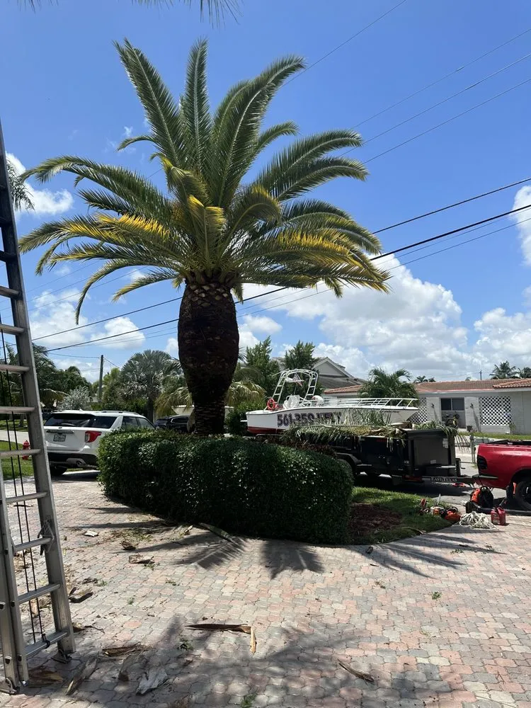 Professional lawn mowing service near you across Pompano Beach, FL - Charly Tree Landscaping