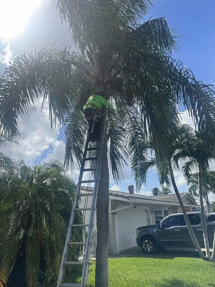 Local landscape installation in Pompano Beach, FL by Charly Tree Landscaping