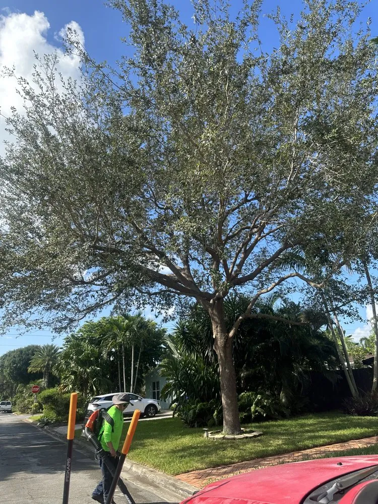 Reliable landscape design for homes across Pompano Beach, FL - Charly Tree Landscaping