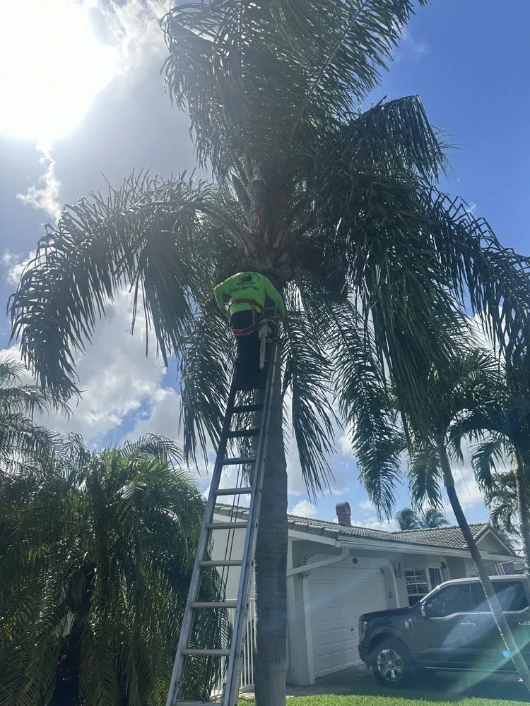 Professional outdoor landscaping in Pompano Beach, FL by Charly Tree Landscaping