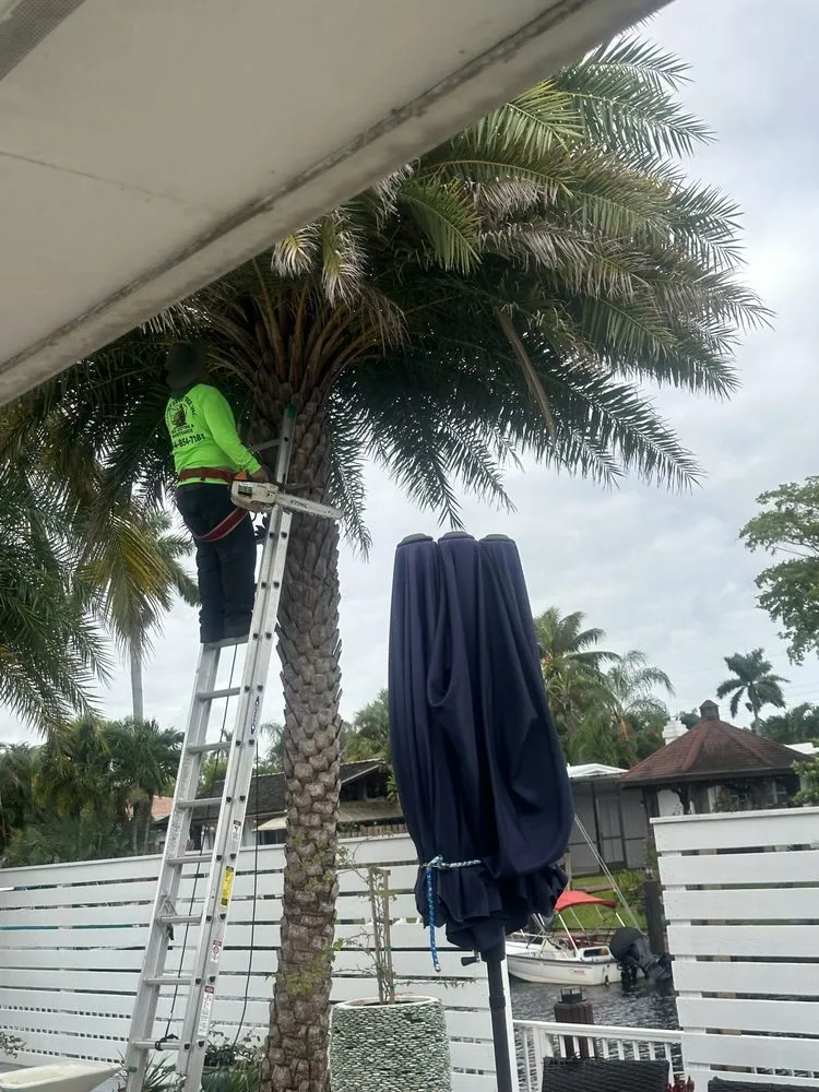 Professional outdoor landscaping for homes across Pompano Beach, FL - Charly Tree Landscaping