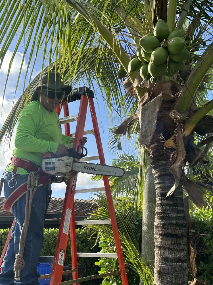 Trusted landscape design for year-round maintenance across Pompano Beach, FL - Charly Tree Landscaping