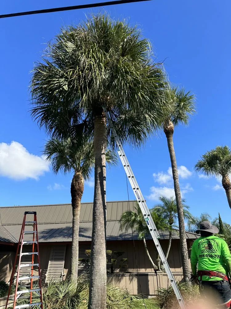 Affordable landscape design in Pompano Beach, FL - Charly Tree Landscaping