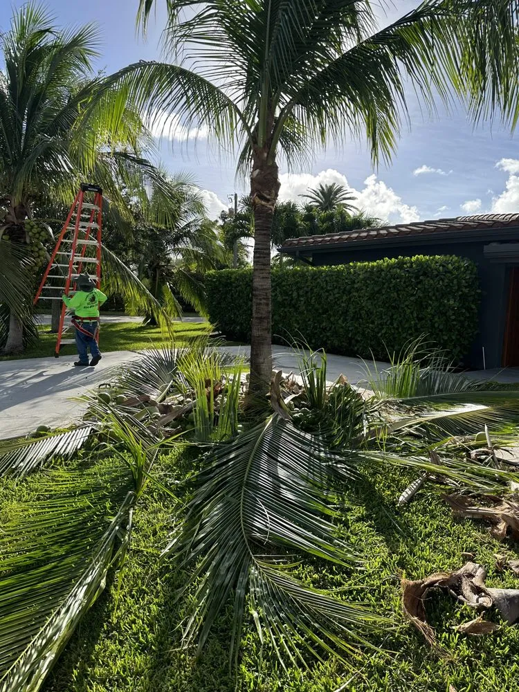 Custom landscaping services with custom design in Pompano Beach, FL by Charly Tree Landscaping