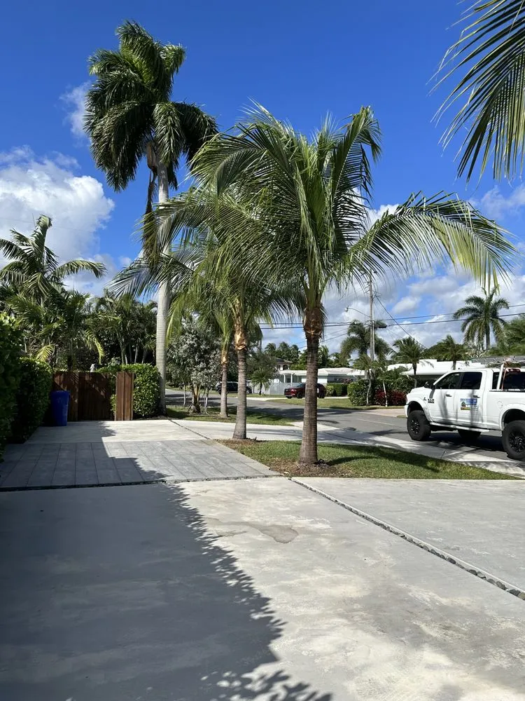 Custom landscape design in Pompano Beach, FL by Charly Tree Landscaping