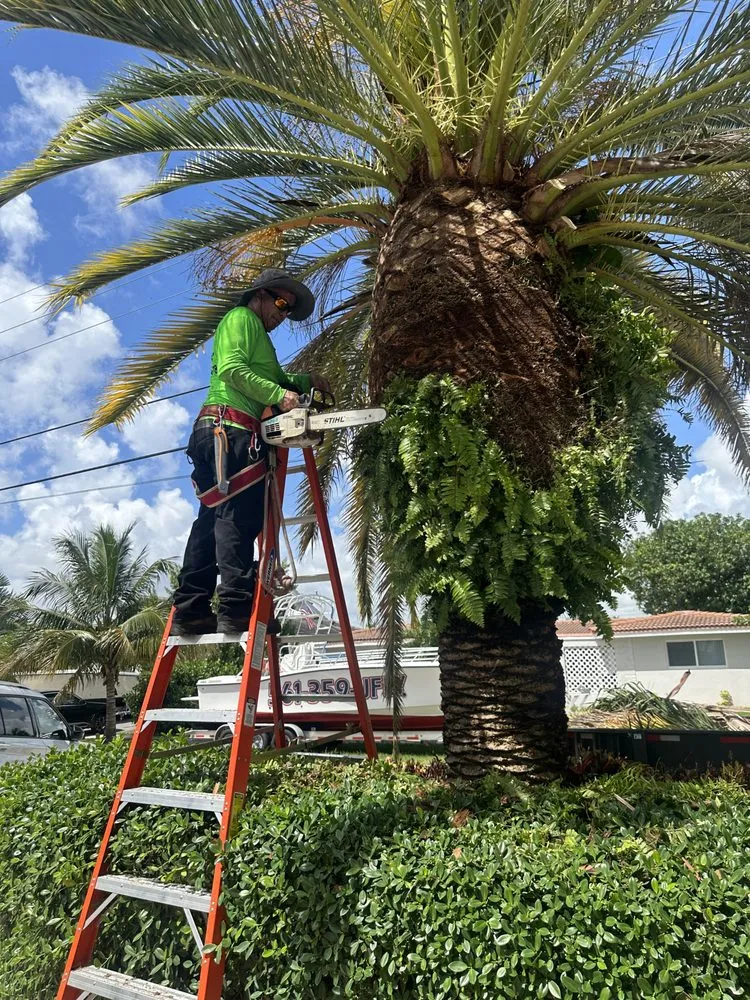 Expert landscape design experts serving Pompano Beach, FL - Charly Tree Landscaping